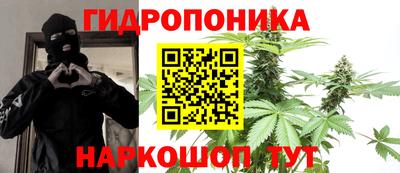 ECSTASY Будённовск