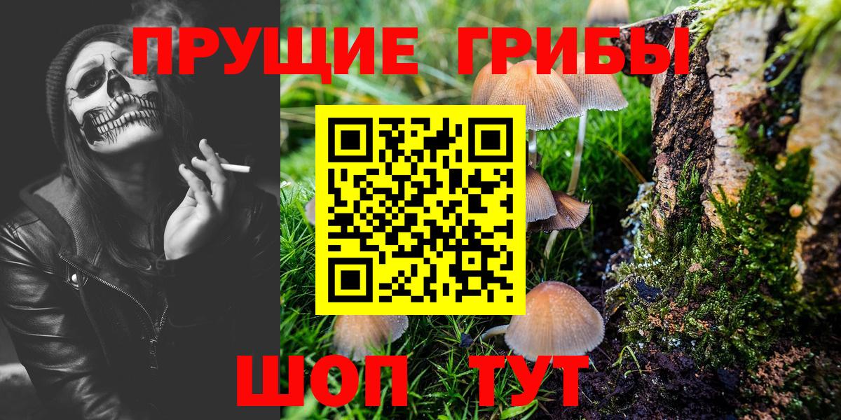 Галлюциногенные грибы прущие грибы Химки