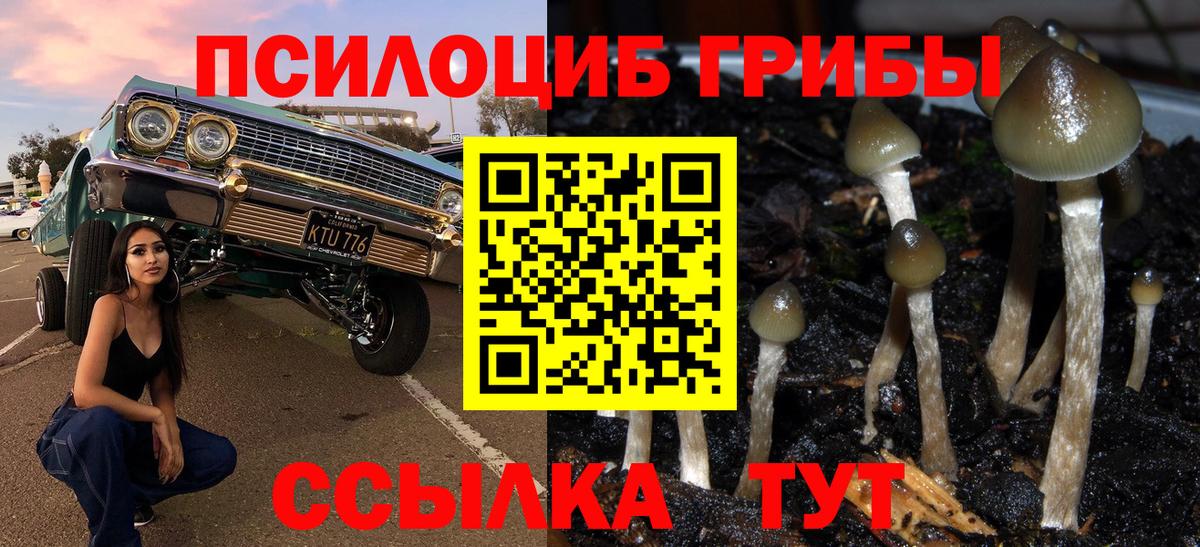 Псилоцибиновые грибы GOLDEN TEACHER  Вход с VPN  Химки  Псилоцибиновые грибы Psilocybe 